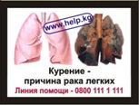 Kyrgyzstan 2008 Health Effects Lung - lung cancer, quitline info